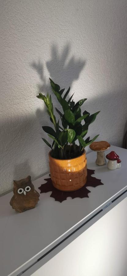 Appartement Ruhige Sout. Whg. Feldrandnaehe à Seligenstadt Extérieur photo